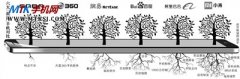 网易公司确认会做双核CPU加4.3英寸大屏手机