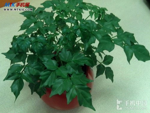 4英寸屏超值双WCDMA双待 现代H11评测 