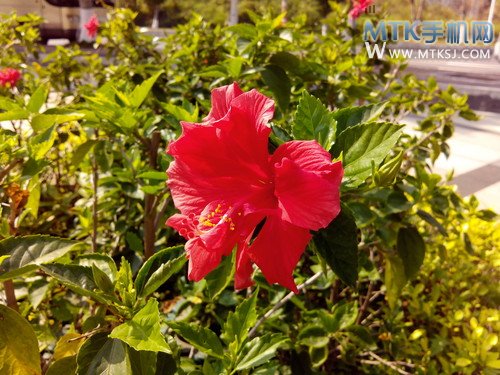 夏新大V四核评测