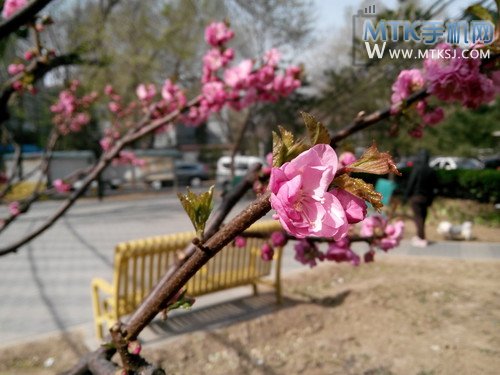 四核5.3英寸超敏感屏 大可乐2首发评测 