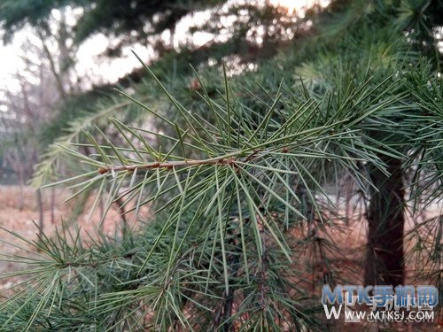 八核处理器+5.5英寸超大屏 青橙NX评测第14张图