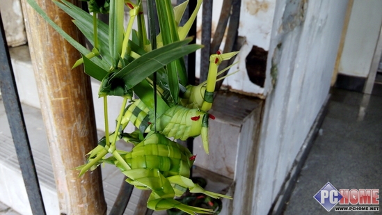 要向平凡说no 酷派大神F2首发评测