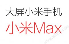 名字已确定？＂小米MAX＂成为网友最喜欢的巨屏