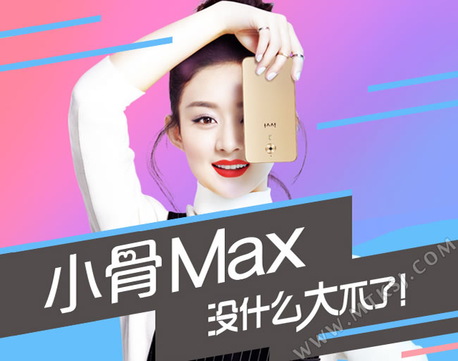 小骨MAX