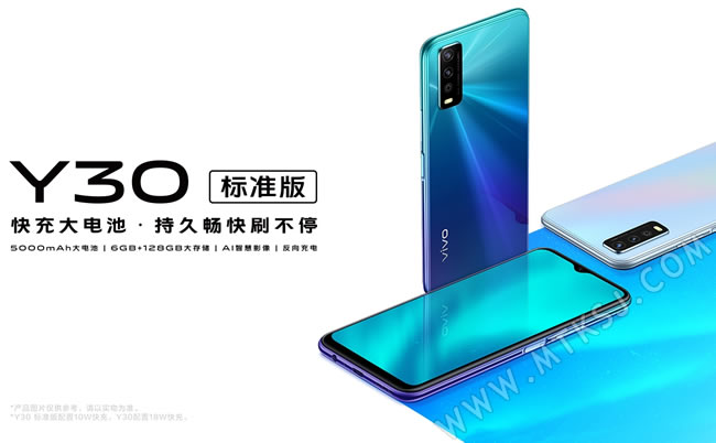 vivo Y30标准版