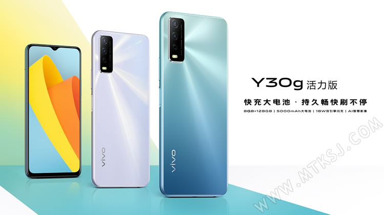 vivo Y30活力版